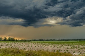 Czerwcowa komórka burzowa z okolic Stargardu